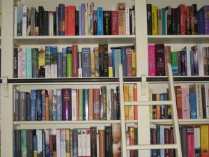 Domowa biblioteczka – wybieramy regał na książki